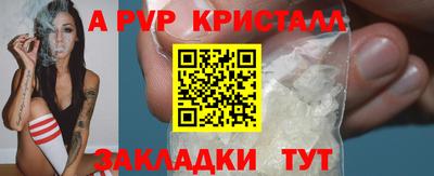 стаф Камышлов